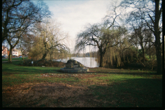 Brookvale Park - Dove of Peace