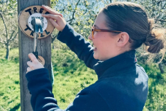 The final QR code of the trail being hammered in at the start of the  route by Beatrice, directing visitors to the front page of the Balaam’s Wood website.