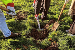 Friends of Sparkgreen Park - Tree Planting Event