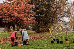 Friends of Sparkgreen Park - Tree Planting Event