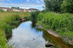 Friends of Perry Common Meadows