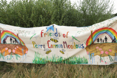 Friends of Perry Common Meadows