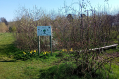 Friends of Perry Common Meadows