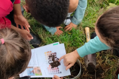 Friends of Perry Common Meadows
