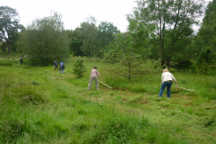 Sarehole Environmental Action Team