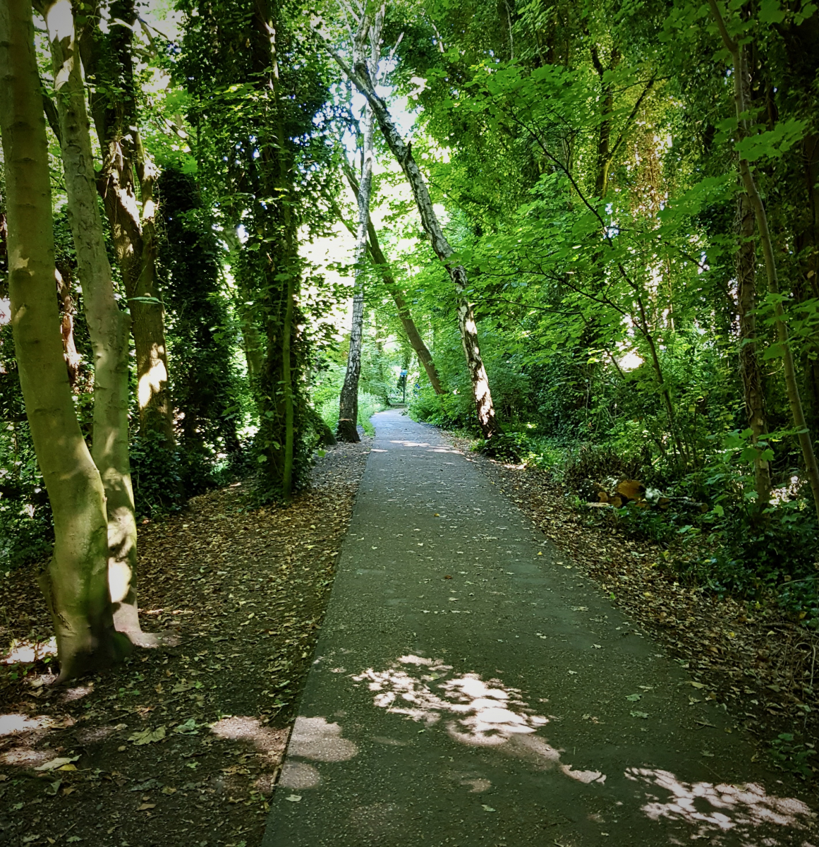 Harborne Walkway - Summer