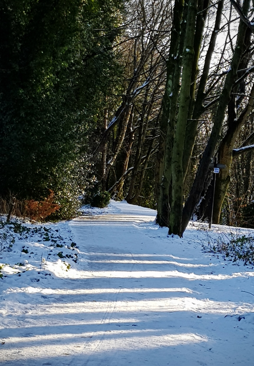 Harborne Walkway - Winter