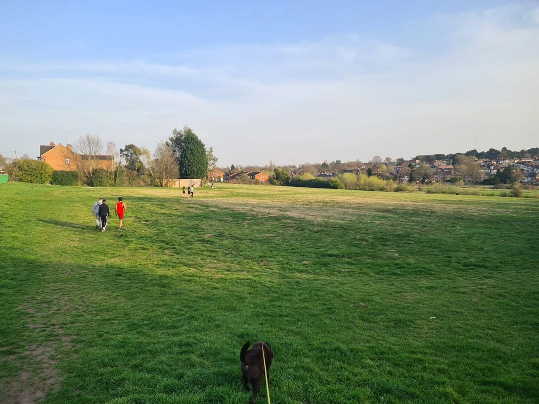 Short Heath Playing Fields and Bleak Hill Park