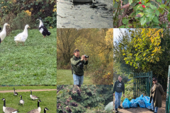 Collage  photo of Sonia (WERG) & Chris (Team4Nature) - after a past litterpick and Bird Spot event with wildfowl of natural pool