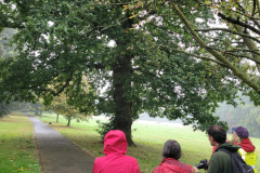 Chris meet with the Friends of Selly Oak Park, listening out for the calls of a Mistle Thrush