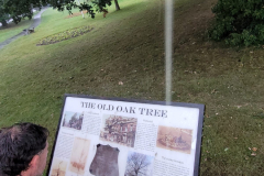 Chris reading the notice board about the history of the Old Oak Tree in Selly Oak Park