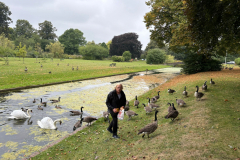 Frends of Perry Hall Park, Helen feeding the local birds in the park during Chris visit