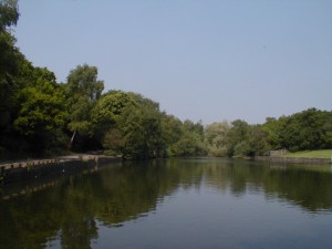 Sutton Park Lake