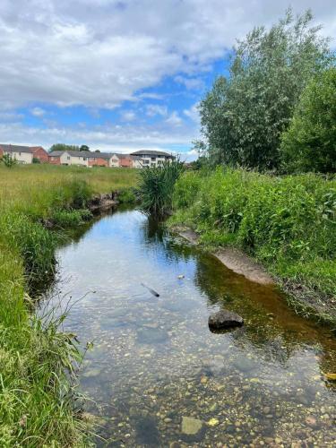 Earthwatch Waterblitz 8.6.24 Hawthorn Brook test site 