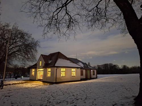 Sons of Rest building in the snow