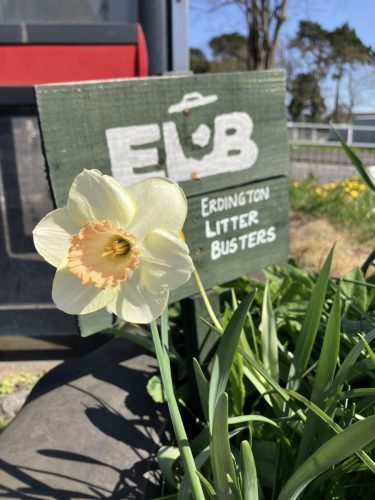 Erdington Litter Busters