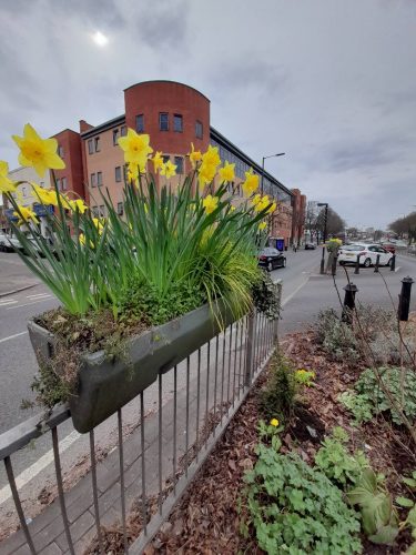 Erdington Litter Busters