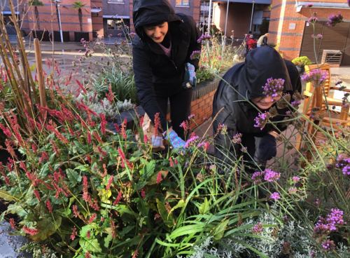 Sheepcote Street Nature Group