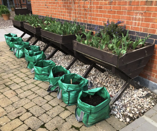 Sheepcote Street Nature Group