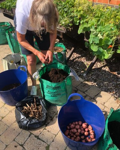 Sheepcote Street Nature Group