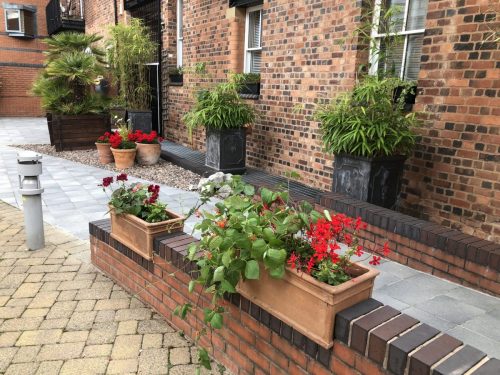 Sheepcote Street Nature Group